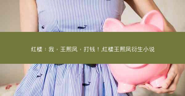 红楼：我，王熙凤，打钱！,红楼王熙凤衍生小说