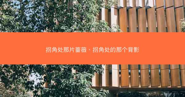 拐角处那片蔷薇、拐角处的那个背影