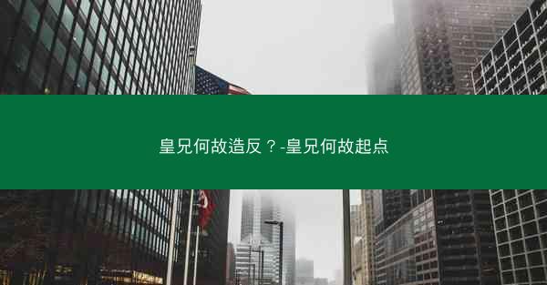 皇兄何故造反？-皇兄何故起点
