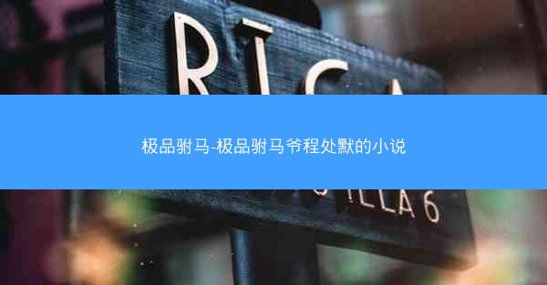 极品驸马-极品驸马爷程处默的小说