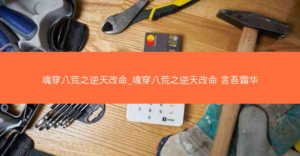 魂穿八荒之逆天改命_魂穿八荒之逆天改命 言吾霜华