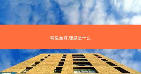 魂皇至尊,魂皇是什么