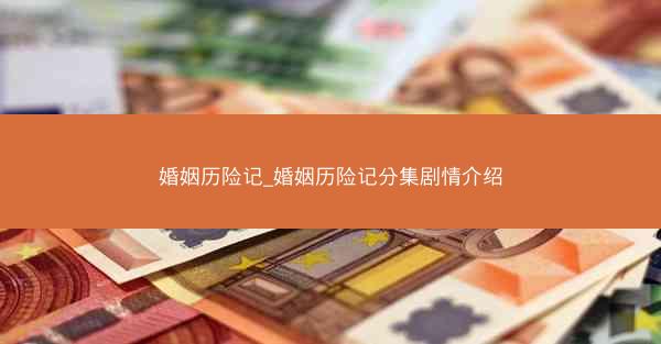 婚姻历险记_婚姻历险记分集剧情介绍