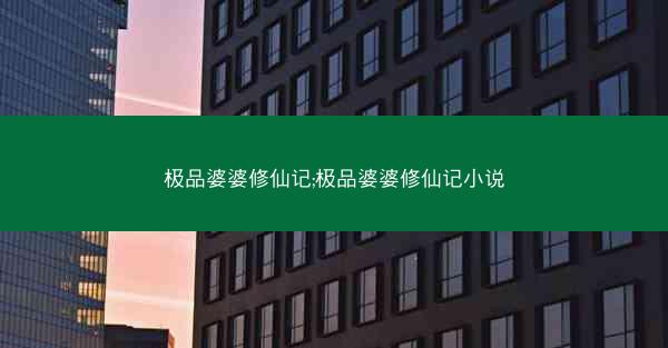 极品婆婆修仙记;极品婆婆修仙记小说