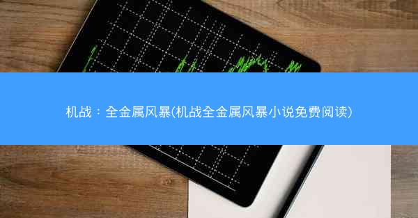机战：全金属风暴(机战全金属风暴小说免费阅读)