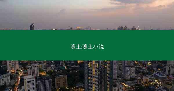 魂主;魂主小说