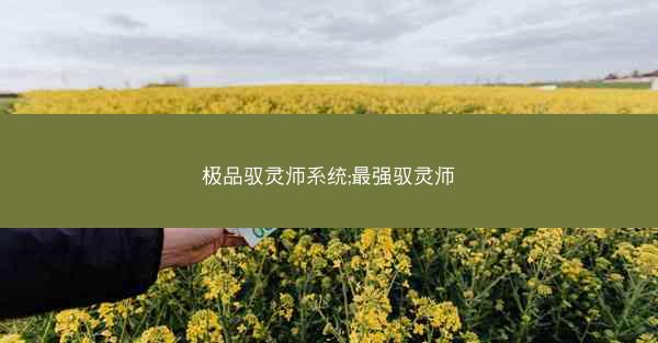 极品驭灵师系统;最强驭灵师