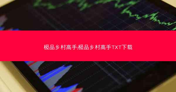 极品乡村高手;极品乡村高手TXT下载