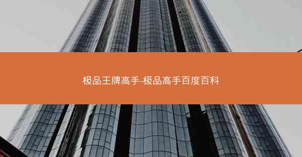极品王牌高手-极品高手百度百科