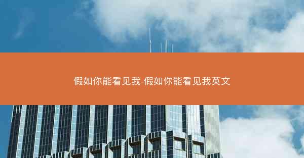 假如你能看见我-假如你能看见我英文