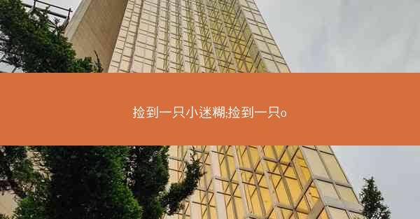 捡到一只小迷糊;捡到一只o