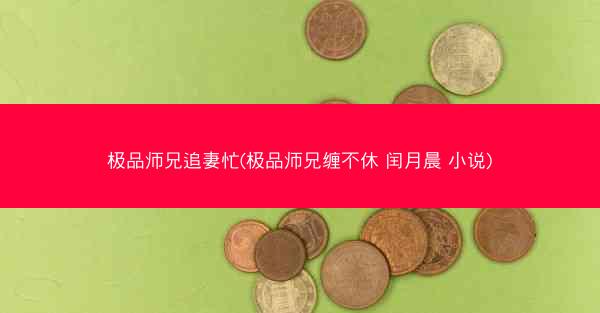 极品师兄追妻忙(极品师兄缠不休 闰月晨 小说)