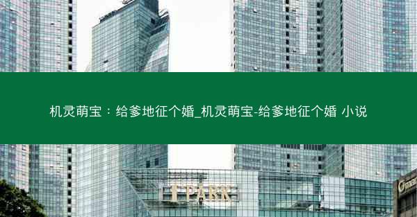 机灵萌宝：给爹地征个婚_机灵萌宝-给爹地征个婚 小说