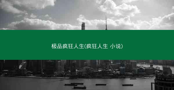 极品疯狂人生(疯狂人生 小说)