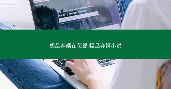 极品弃婿在花都-极品弃婿小说