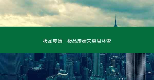 极品废婿—极品废婿宋离周沐雪