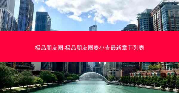 极品朋友圈-极品朋友圈麦小吉最新章节列表