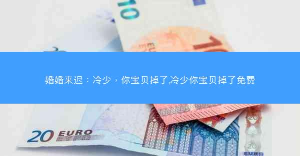 婚婚来迟：冷少，你宝贝掉了,冷少你宝贝掉了免费