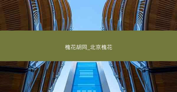 槐花胡同_北京槐花