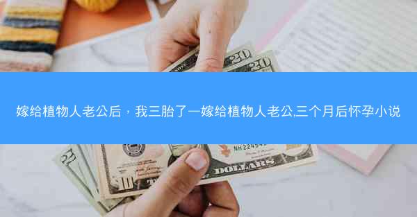 嫁给植物人老公后，我三胎了—嫁给植物人老公,三个月后怀孕小说