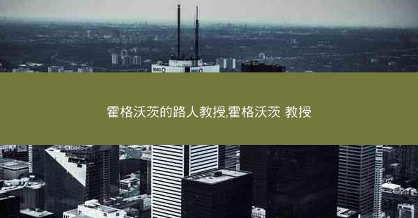霍格沃茨的路人教授,霍格沃茨 教授