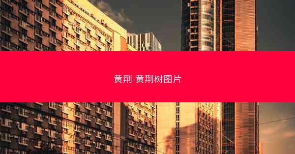 黄荆-黄荆树图片