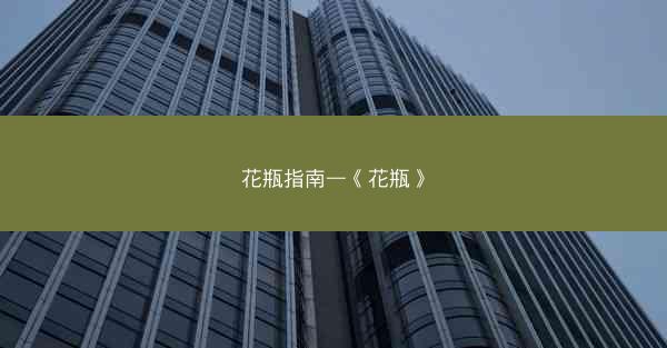 花瓶指南—《花瓶》