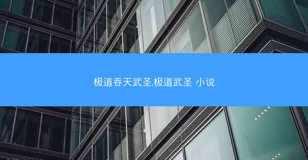 极道吞天武圣,极道武圣 小说