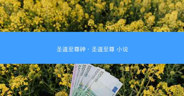 圣道至尊神、圣道至尊 小说