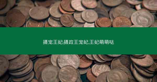 摄宠王妃;摄政王宠妃,王妃萌萌哒