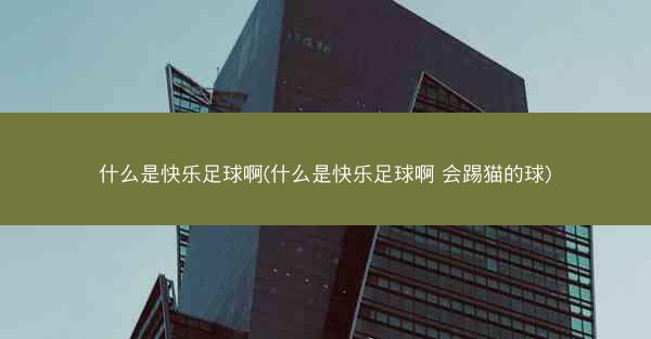 什么是快乐足球啊(什么是快乐足球啊 会踢猫的球)