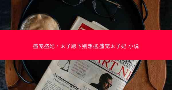 盛宠盗妃：太子殿下别想逃,盛宠太子妃 小说