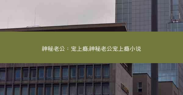 神秘老公：宠上瘾;神秘老公宠上瘾小说