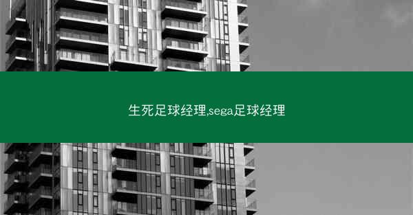 生死足球经理,sega足球经理