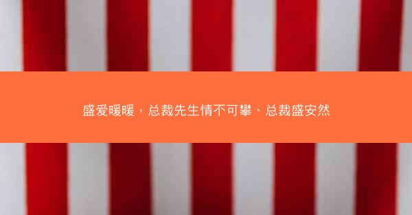 盛爱暖暖，总裁先生情不可攀、总裁盛安然