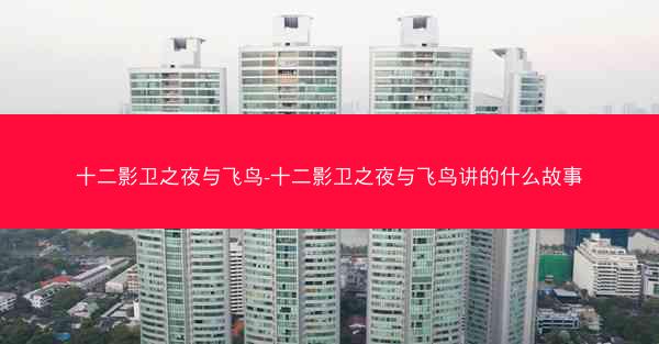 十二影卫之夜与飞鸟-十二影卫之夜与飞鸟讲的什么故事
