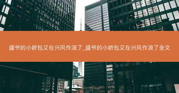 盛爷的小娇包又在兴风作浪了_盛爷的小娇包又在兴风作浪了全文