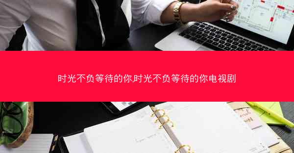 时光不负等待的你,时光不负等待的你电视剧