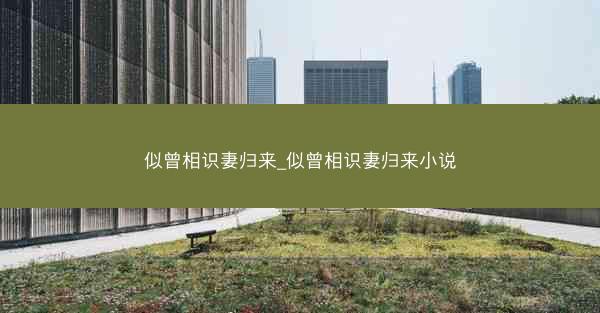似曾相识妻归来_似曾相识妻归来小说