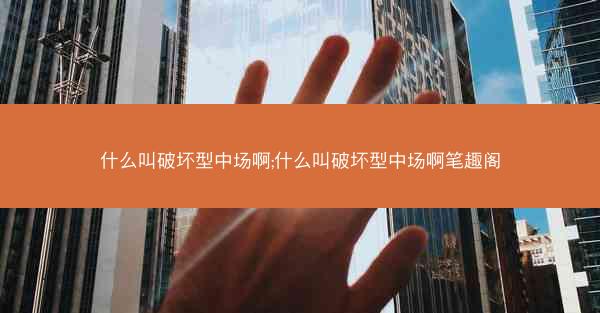 什么叫破坏型中场啊;什么叫破坏型中场啊笔趣阁