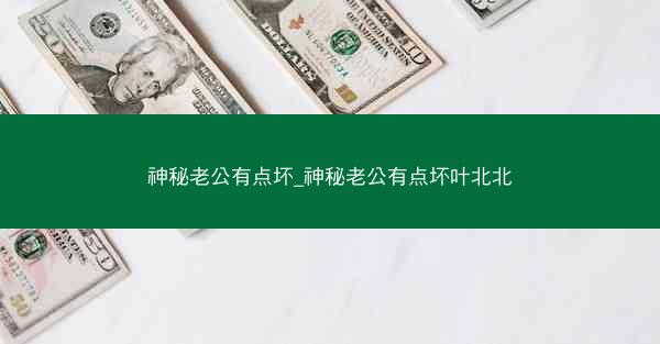 神秘老公有点坏_神秘老公有点坏叶北北