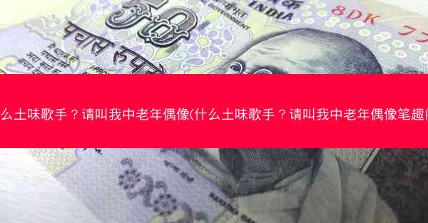 什么土味歌手？请叫我中老年偶像(什么土味歌手？请叫我中老年偶像笔趣阁)