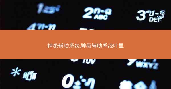 神级辅助系统,神级辅助系统叶里