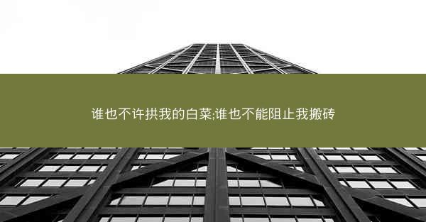 谁也不许拱我的白菜;谁也不能阻止我搬砖