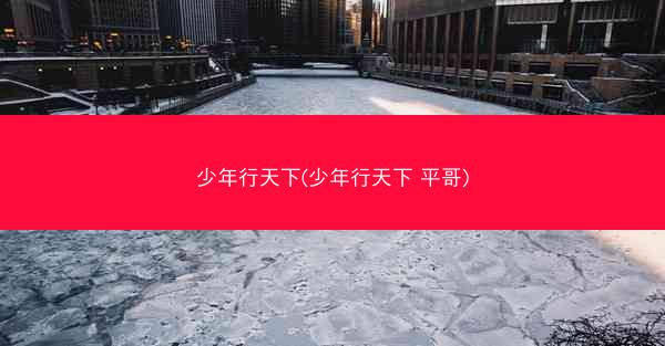 少年行天下(少年行天下 平哥)