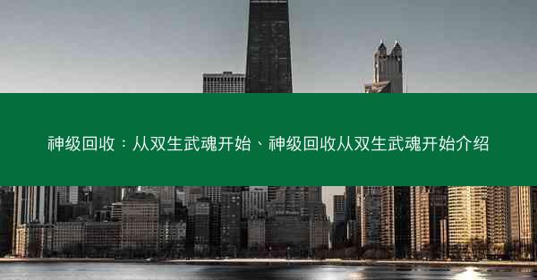 神级回收：从双生武魂开始、神级回收从双生武魂开始介绍