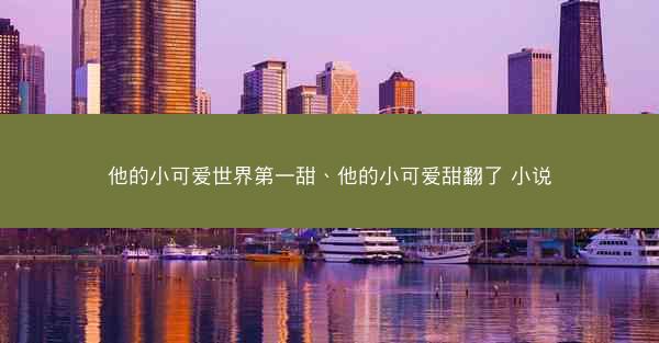 他的小可爱世界第一甜、他的小可爱甜翻了 小说
