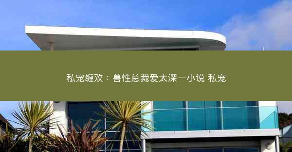 私宠缠欢：兽性总裁爱太深—小说 私宠