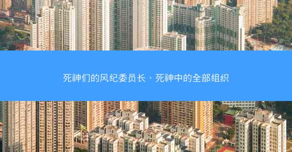 死神们的风纪委员长、死神中的全部组织