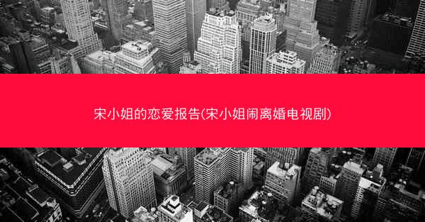宋小姐的恋爱报告(宋小姐闹离婚电视剧)